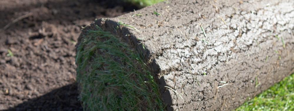 new lawn being spread.jpg